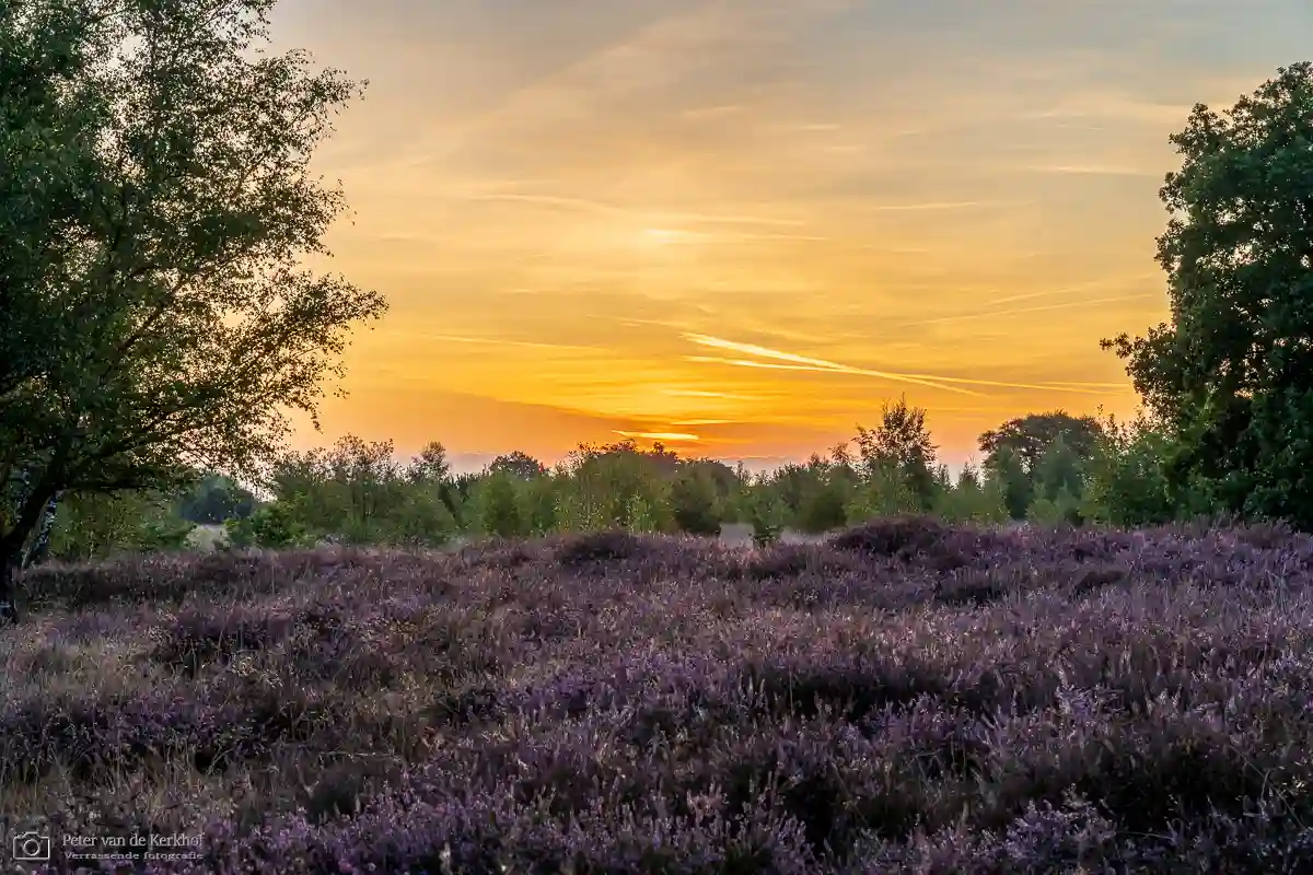 PvdK_2025-08-21a_C5540-HDR.webp