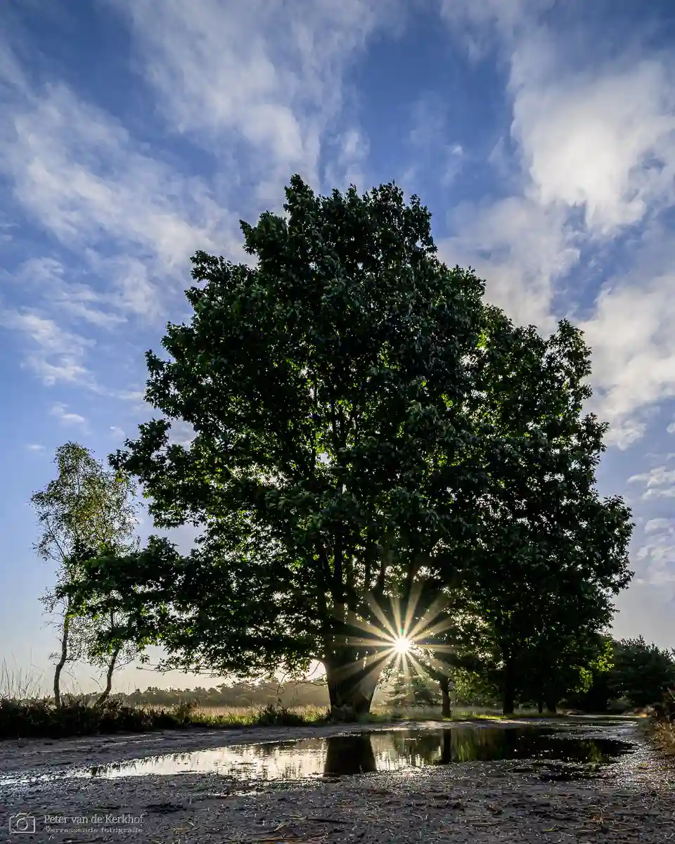 PvdK_2025-09-15_C6297.webp