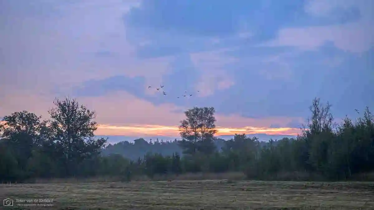 PvdK_2025-09-30_C6717.webp