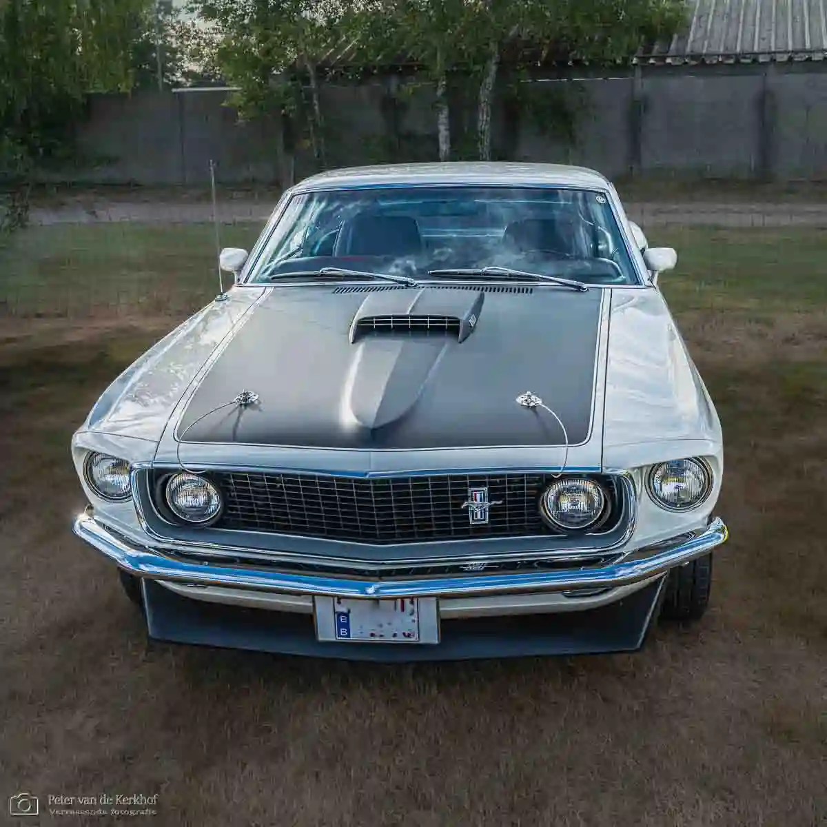 PvdK_2026-07-28_D2010.webp