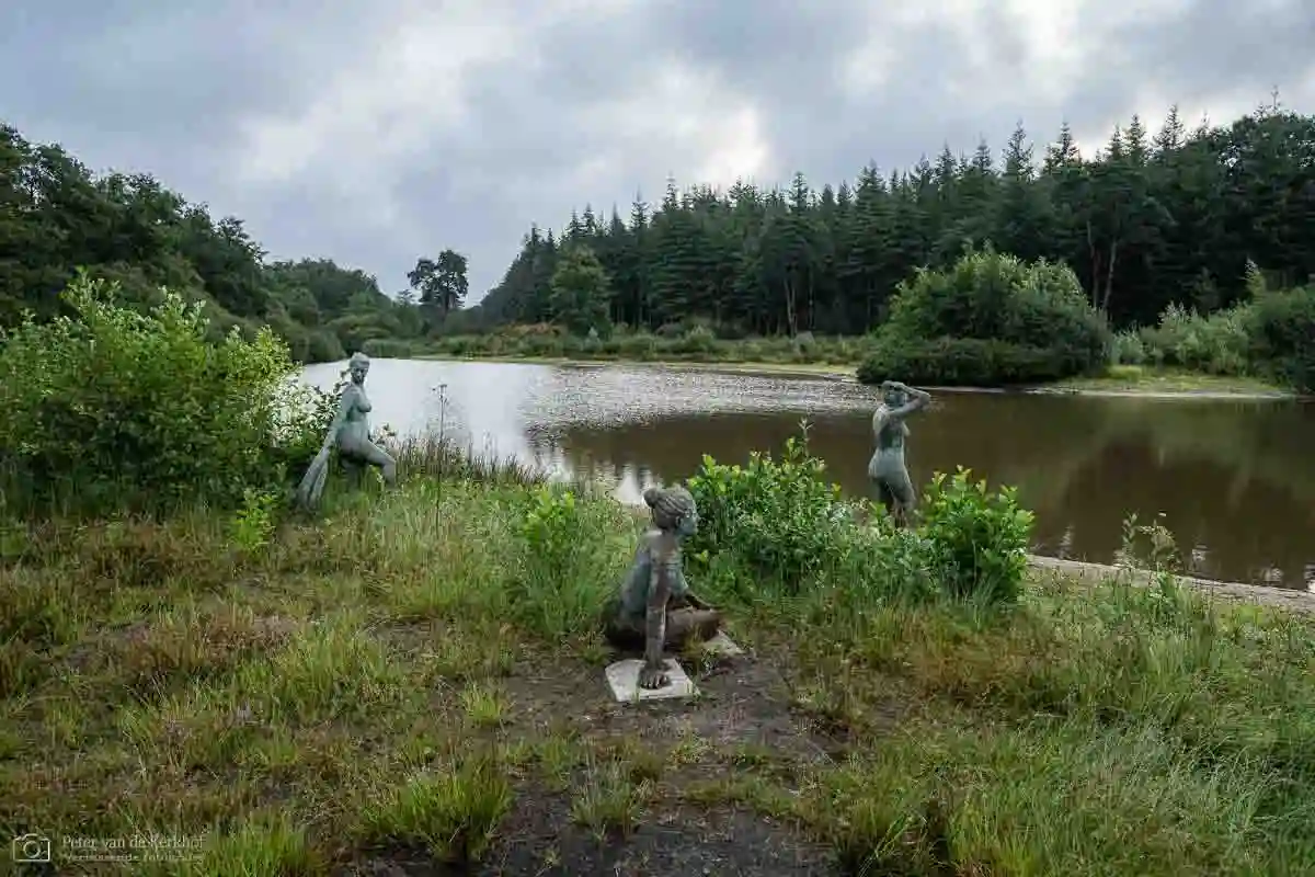 PvdK_2026-08-20a_D2984.webp